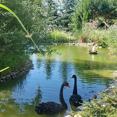 דירה релакс в Cascadas 3